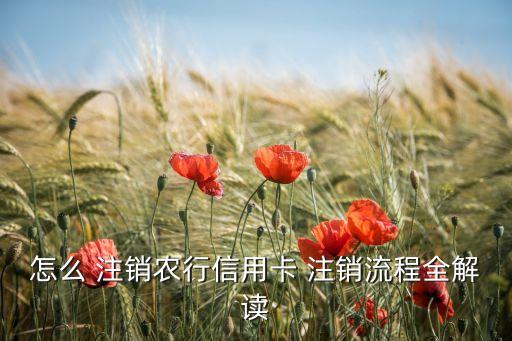 怎么 注销农行信用卡 注销流程全解读