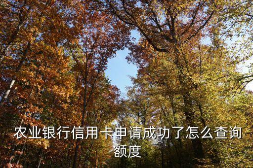  农业银行信用卡申请成功了怎么查询 额度