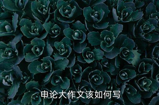 个人农业申论怎么写的好