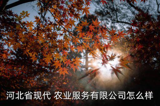 农业服务公司怎么选择好,农业综合服务公司经营范围