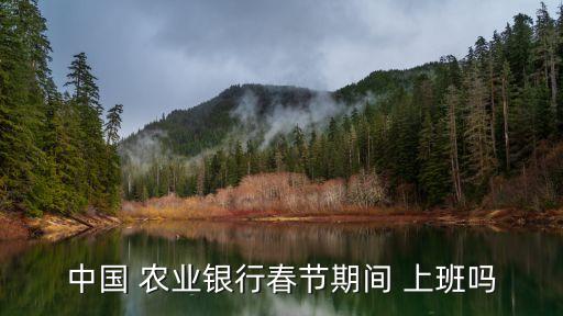 现在农业银行上班怎么样,农业银行周日正常上班吗