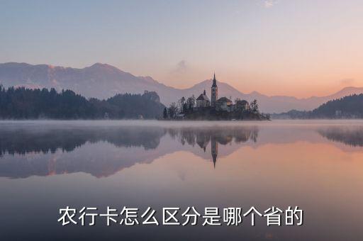 农业银行区域代码怎么查询