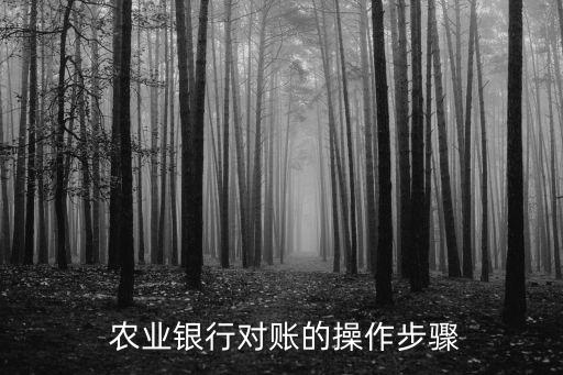 农业银行怎么完成银企对账