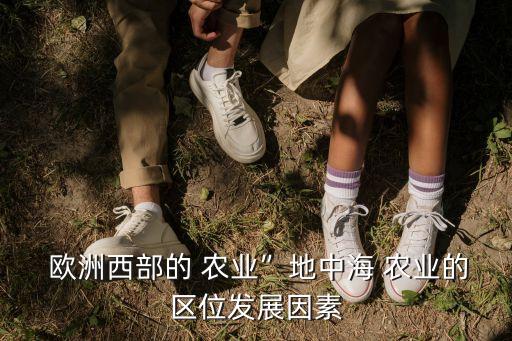 欧洲农业以什么地形为主,欧洲的地形特征以什么为主