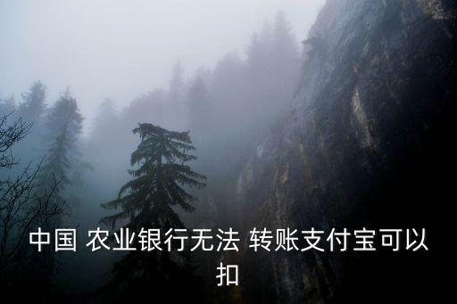 农业银行怎么没有转账功能