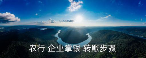 农业企业账户怎么转账,农业银行卡实时转账多久到账户