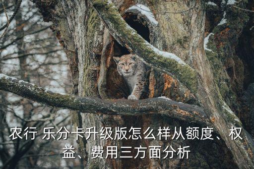 农业乐分卡网页怎么申请