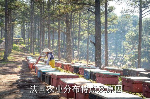  法国农业分布特点及原因