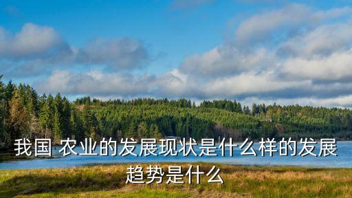 你怎么看待中国现代农业,如何看待现代农业