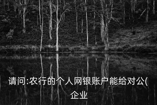 农业银行企业公司账号怎么转账