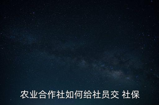 农业公司员工社保怎么交,员工社保公司承担多少