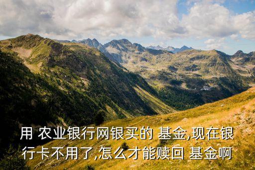 农业银行基金怎么提取