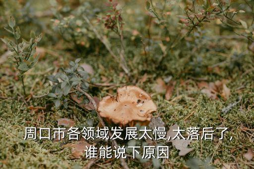 河南周口农业怎么样,周口爱尔眼科医院怎么样