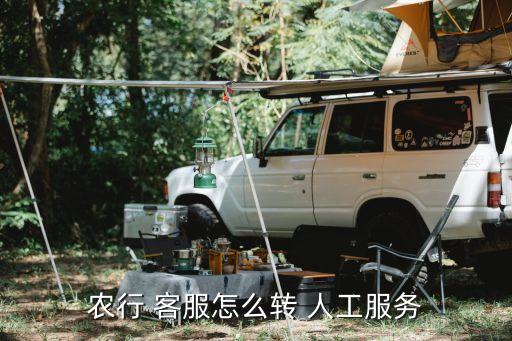 农业银行怎么接通人工客服