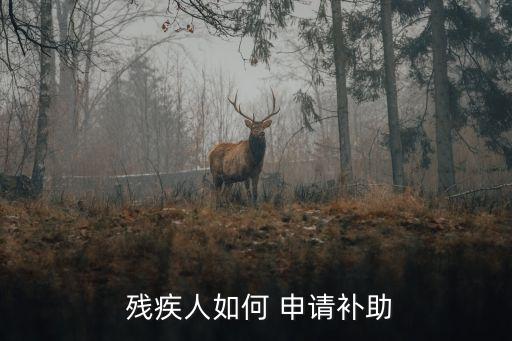 残疾证农业补贴怎么申请,多种残疾证怎么申请