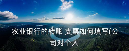 农业银行怎么开支票