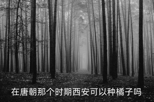 唐代农业种什么,唐代的农业工具