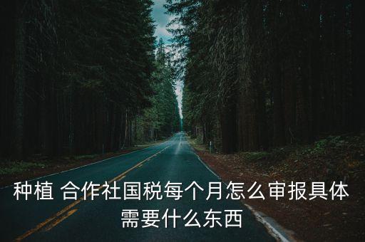 种植 合作社国税每个月怎么审报具体需要什么东西