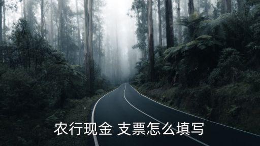 农业银行转账支票是什么