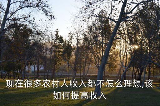 农业怎么挣大钱,女生怎么才能挣大钱