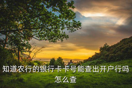 怎么查看农业银行开行名称,农业银行怎么查看支行名称