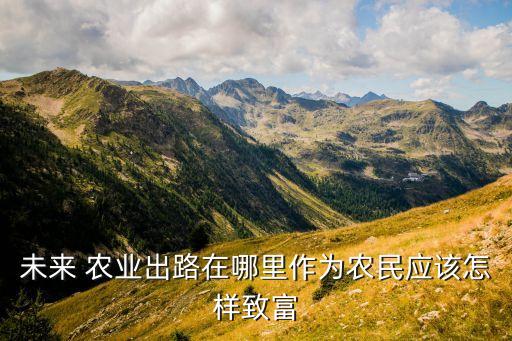 城市没有农业靠怎么生存