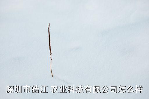皇皓农业怎么样,武汉市农业学校怎么样