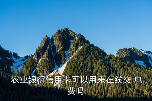 农业银行怎么用电费