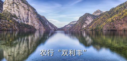 农业银行双丰利怎么存钱进去