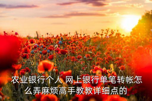 农业网上转账怎么操作,农业存折可以网上转账吗