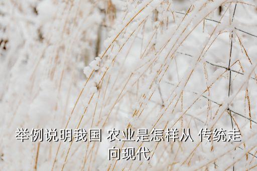 传统农业怎么快速发展