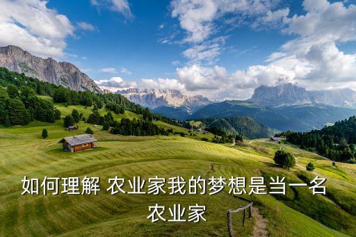 理想的农业怎么样,理想one质量怎么样
