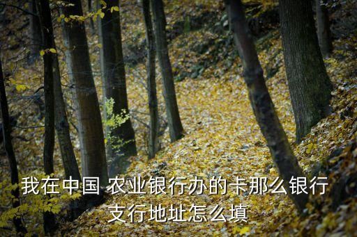 农业开户行支行怎么填写,农业银行卡开户行支行在哪里查