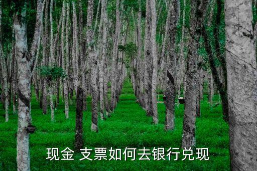 农业银行转账支票怎么用