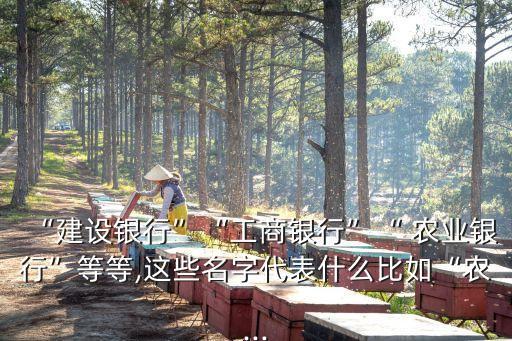 仁化县农业银行名称是什么,秦镇农业银行的分行名称是什么