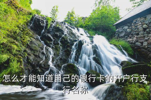 农业银行开卡分行怎么查
