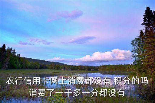农业银行怎么没积分