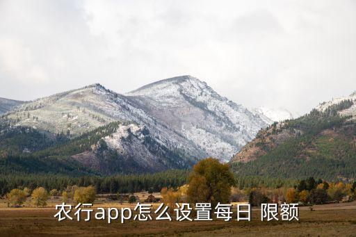 农业银行怎么找限额的