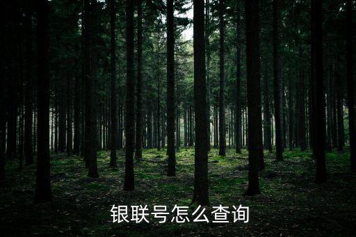  银联号怎么查询