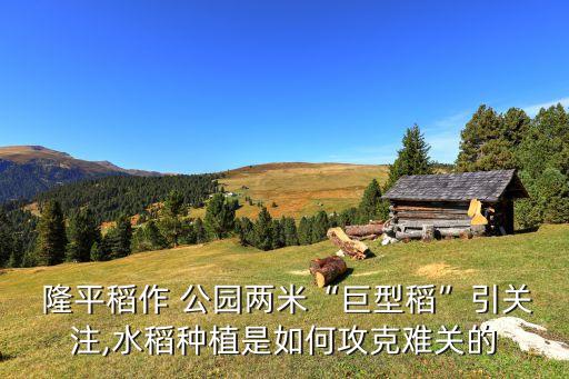 怎么去隆平农业公园,隆平现代国际农业公园