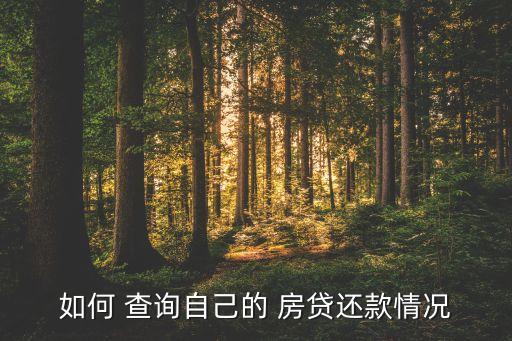 农业银行怎么查询房贷进度
