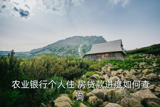  农业银行个人住 房贷款进度如何查询
