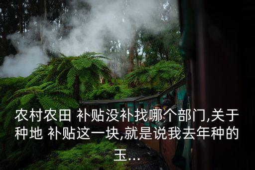 农业种植补贴怎么查不到,2023年农业种植补贴政策