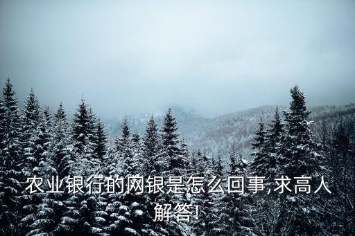 农业银行支票户怎么转出