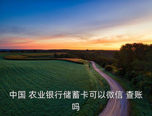 农业银行信息怎么查账