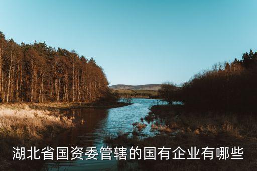 金宝丰农业怎么样
