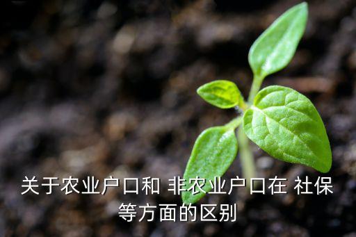 买非农业社保有什么影响