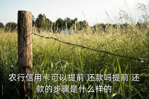 农业银行怎么全额还款