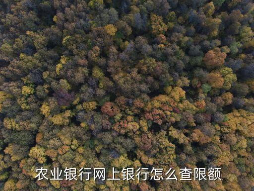  农业银行网上银行怎么查限额
