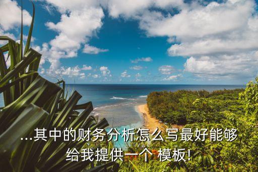 ...其中的财务分析怎么写最好能够给我提供一个 模板!